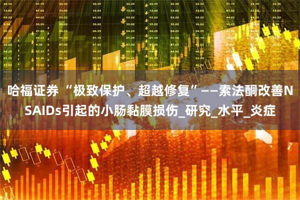 哈福证券 “极致保护、超越修复”——索法酮改善NSAIDs引起的小肠黏膜损伤_研究_水平_炎症