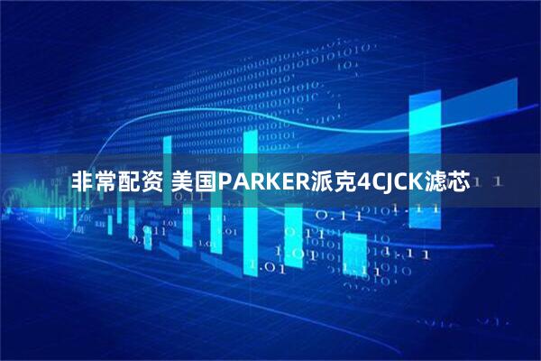 非常配资 美国PARKER派克4CJCK滤芯