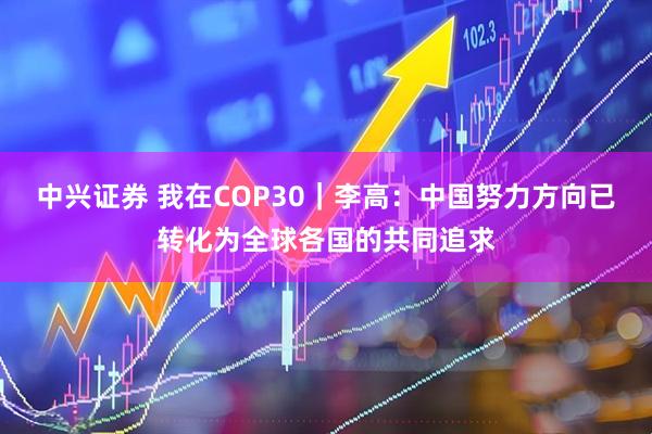 中兴证券 我在COP30|李高:中国努力方向已转化为全球各国的共同追求