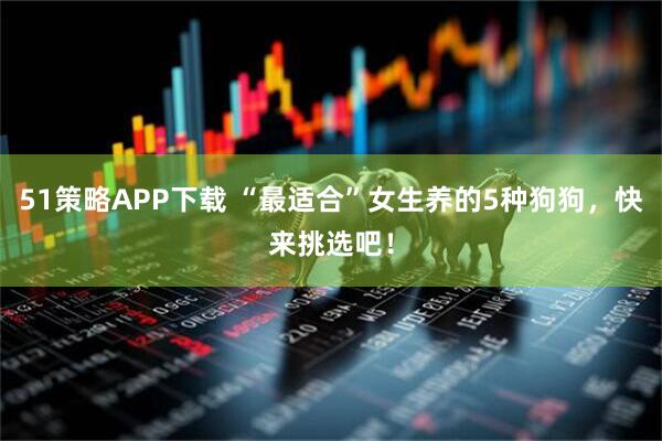 51策略APP下载 “最适合”女生养的5种狗狗，快来挑选吧！