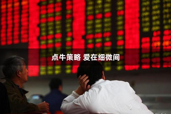 点牛策略 爱在细微间